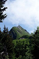 dcp_2484.jpg