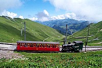 dcp_2495.jpg