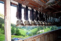 dcp_2560.jpg