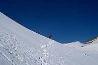 dcp_2577.jpg