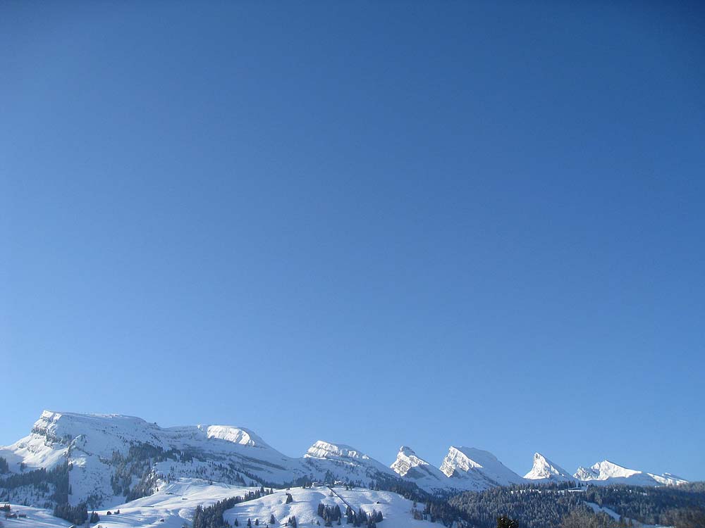 img_9215.jpg