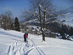 img_9211.jpg