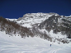 img_9220.jpg