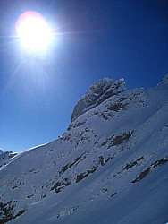 img_9232.jpg
