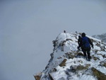 img_8295.jpg