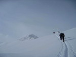 img_8336.jpg