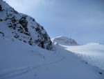 img_8349.jpg