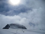img_8401.jpg