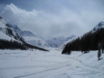 img_8442.jpg