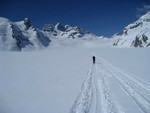 img_8652.jpg