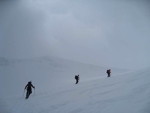 img_8774.jpg