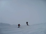 img_8782.jpg