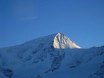 img_8981.jpg