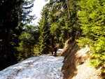img_9087.jpg