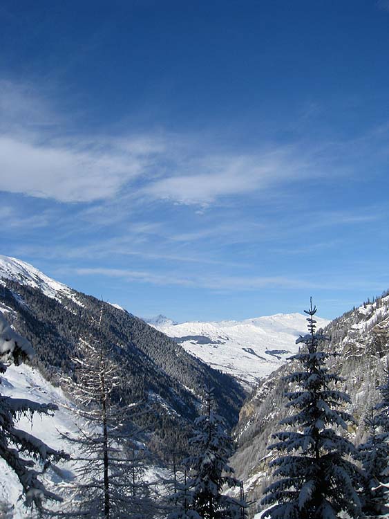 img_5625.jpg
