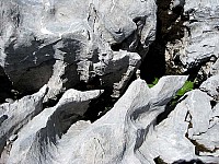 img_0160.jpg