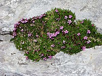 img_0167.jpg
