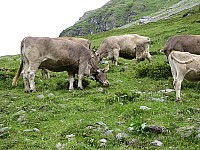 img_0209.jpg