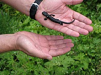 img_0225.jpg