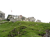 img_0229.jpg