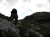 img_0287.jpg