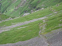 img_0383.jpg