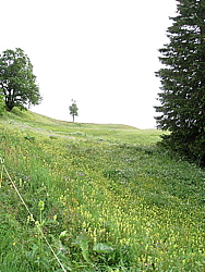 img_7416.jpg