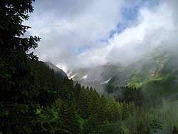 img_7419.jpg