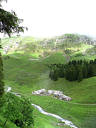 img_7420.jpg