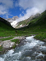 img_7424.jpg