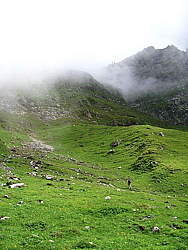 img_7428.jpg