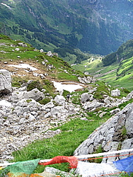 img_7490.jpg