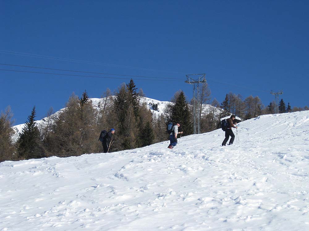 img_6485_kopie.jpg