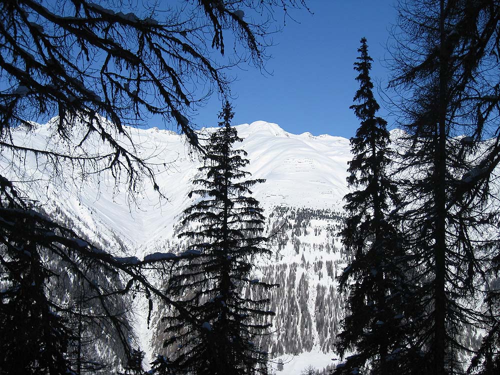 img_6558_kopie.jpg