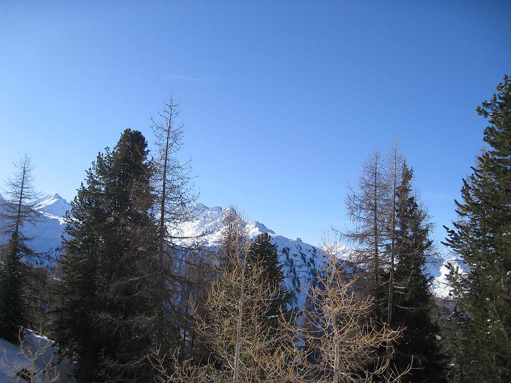 img_7304.jpg