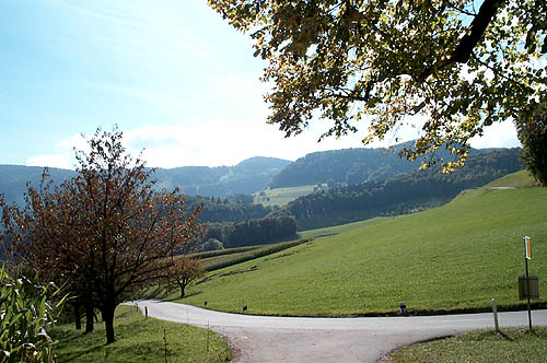 100_1257.jpg
