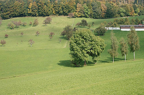 100_1277.jpg
