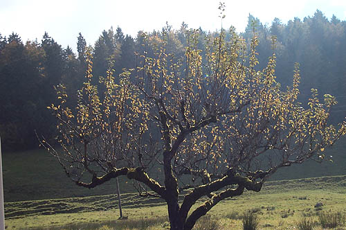100_1305.jpg