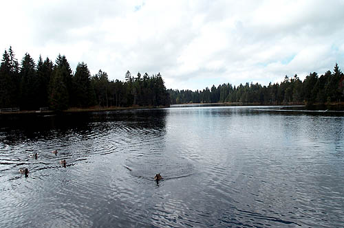100_1307.jpg