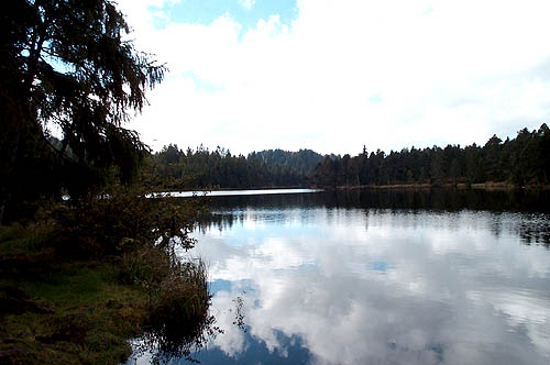 100_1313.jpg