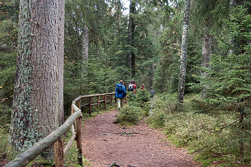 100_1317.jpg
