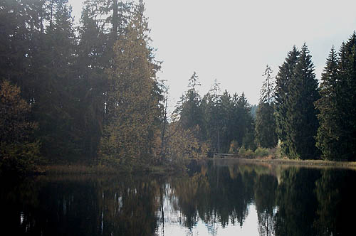 100_1321.jpg