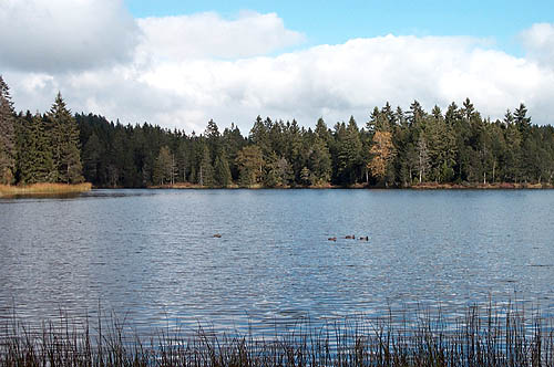 100_1330.jpg