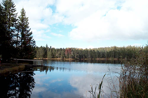 100_1340.jpg