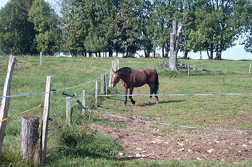 100_1342.jpg