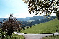 100_1257.jpg
