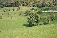 100_1277.jpg