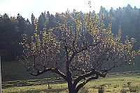 100_1305.jpg