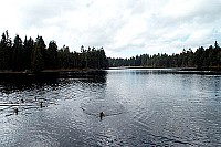100_1307.jpg