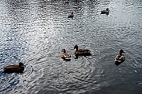 100_1308.jpg